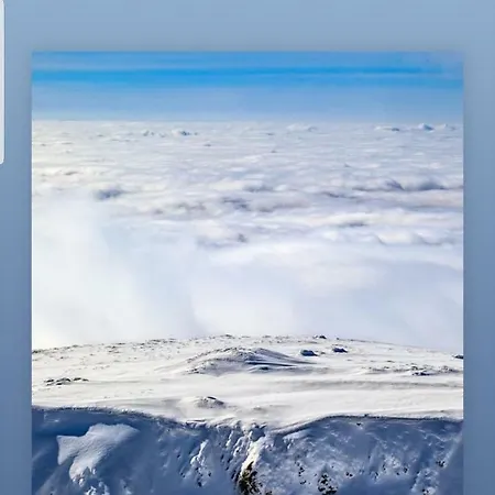 Nicole * Kopaonik