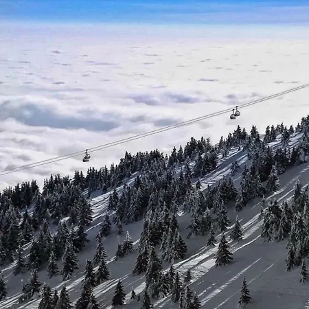 Nicole * Kopaonik