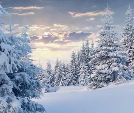 Nicole * Kopaonik
